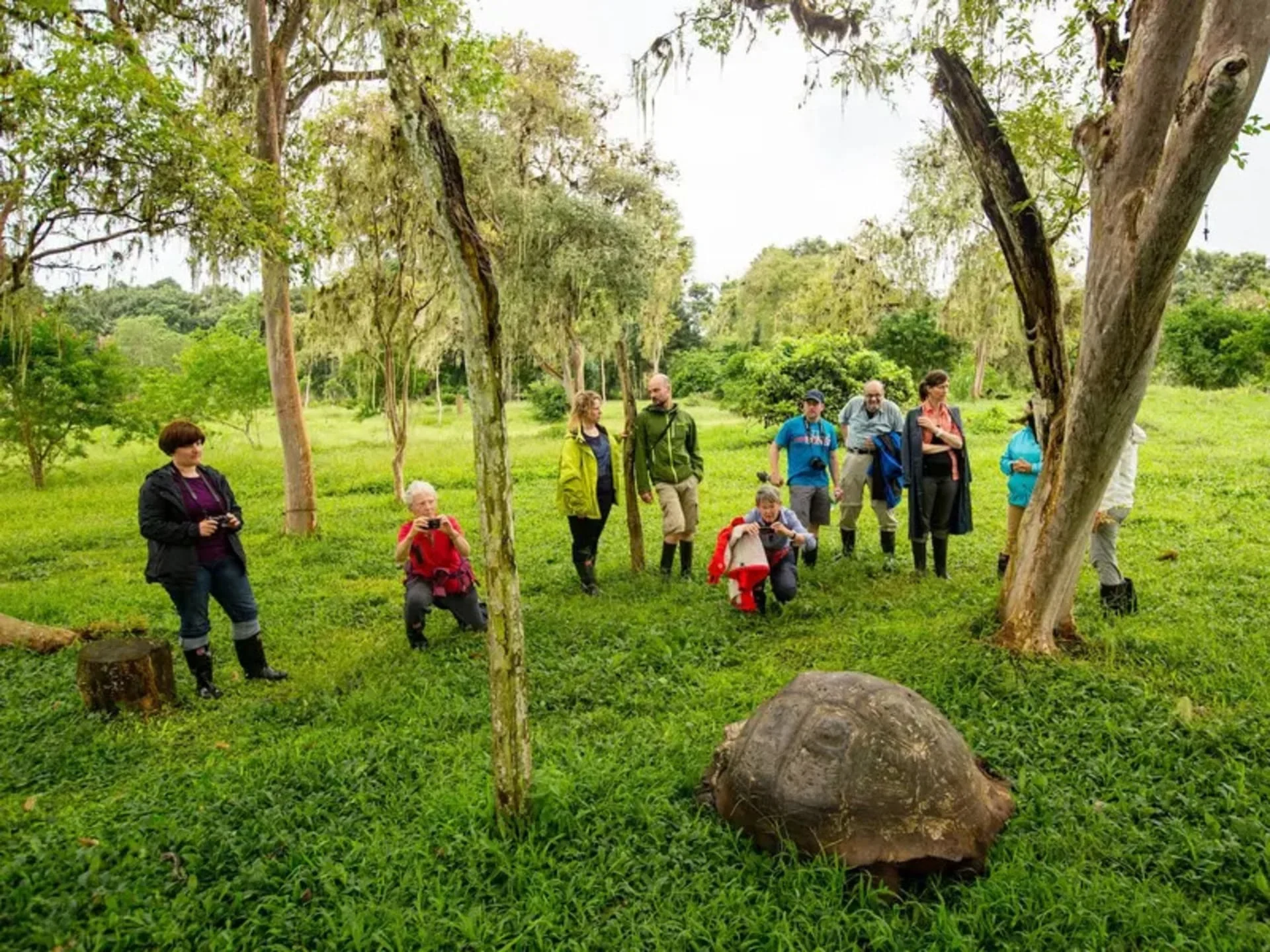 12-Day Ecuador & Galapagos Tour: Quito, Baños & the Andes