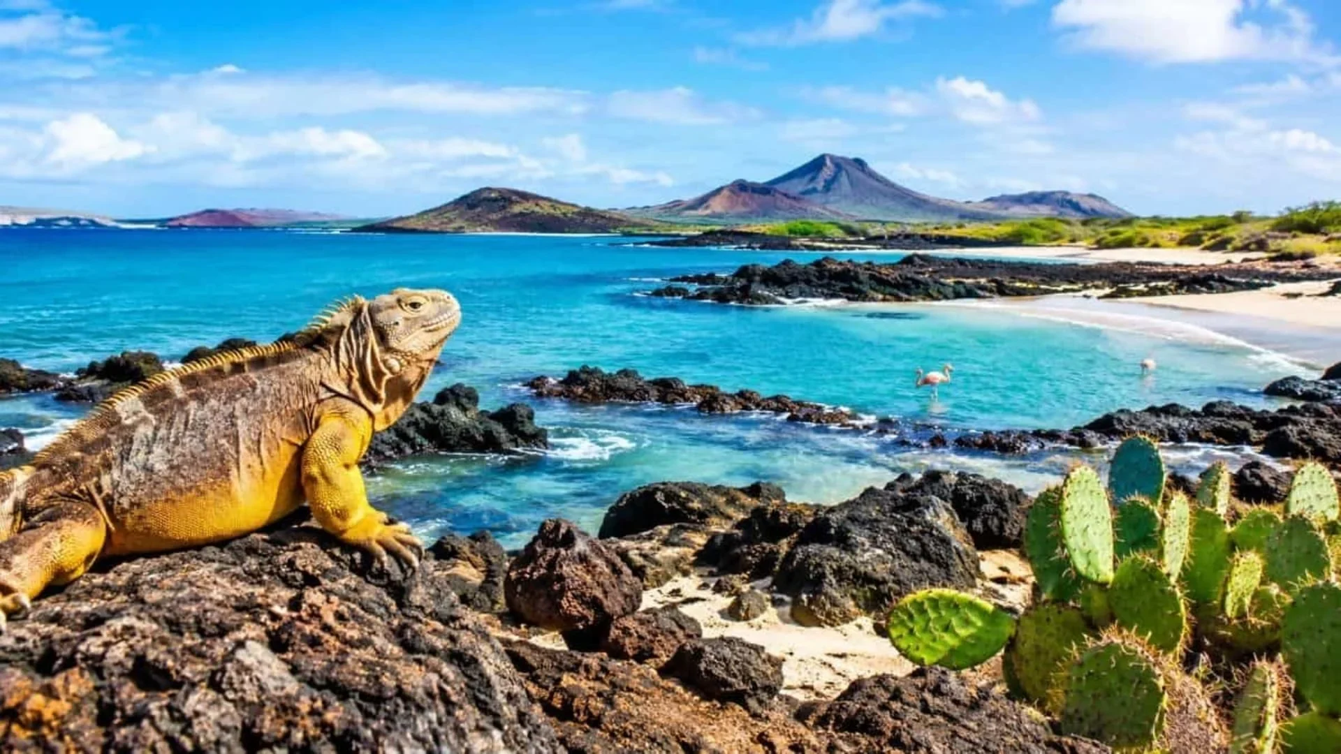 21-Day Galapagos, Peru & Bolivia Tour: Machu Picchu & Uyuni