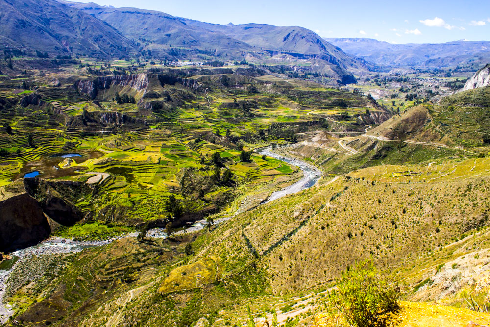 Terraces lining the Colca Canyon with mountains in the background.